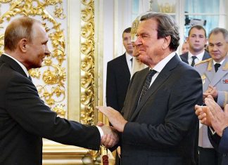 German Social Democratic leader calls on Schroeder to step down