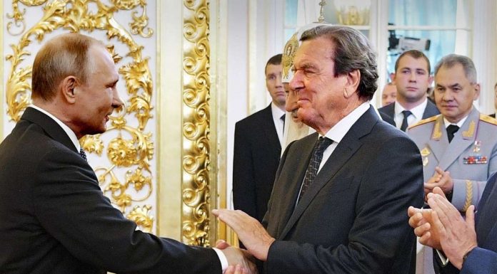 German Social Democratic leader calls on Schroeder to step down