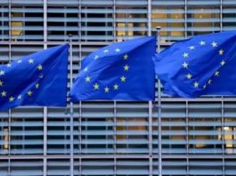 The European Parliament voted to include the Muslim Brotherhood in the list of terrorist organizations